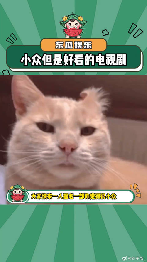 快来提名你心中那部小众又好看的电视剧吧~电视剧 微博VC计划