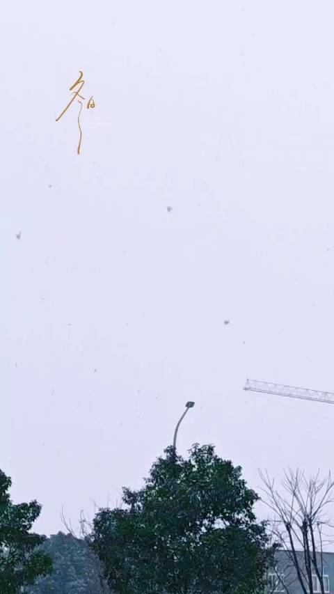 何晴追忆冬雪寄托思念