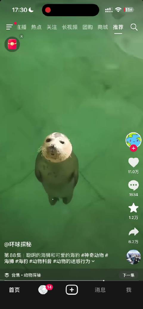 用户抖音被海狮视频刷屏，内容推送引关注