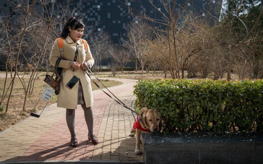 周彤和導盲犬出行。首都文明辦供圖