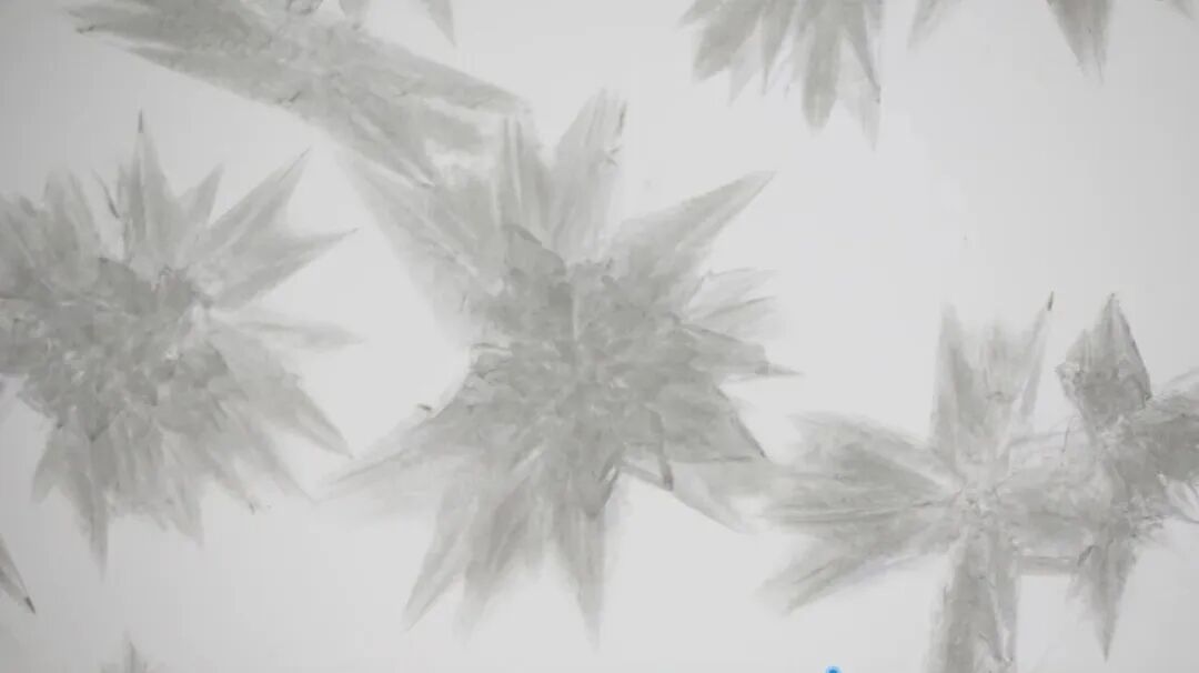 D-阿洛酮糖结晶过程；图片来源：中粮集团