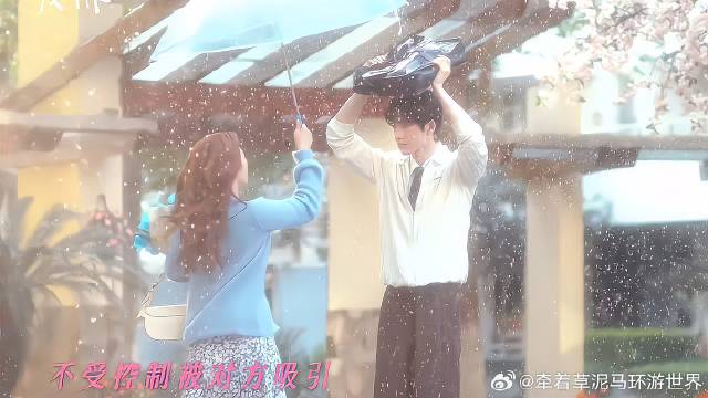 期待由张凌赫和徐若晗主演的《爱你》早日定档