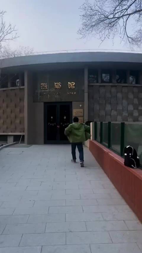 不愿意回家的熊猫 来源：仔仔好好看