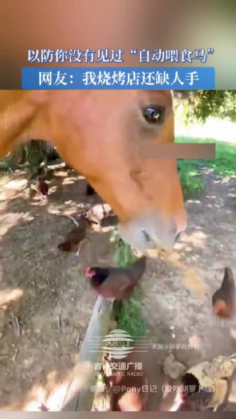 网友调侃自动喂食马可去烧烤店打工