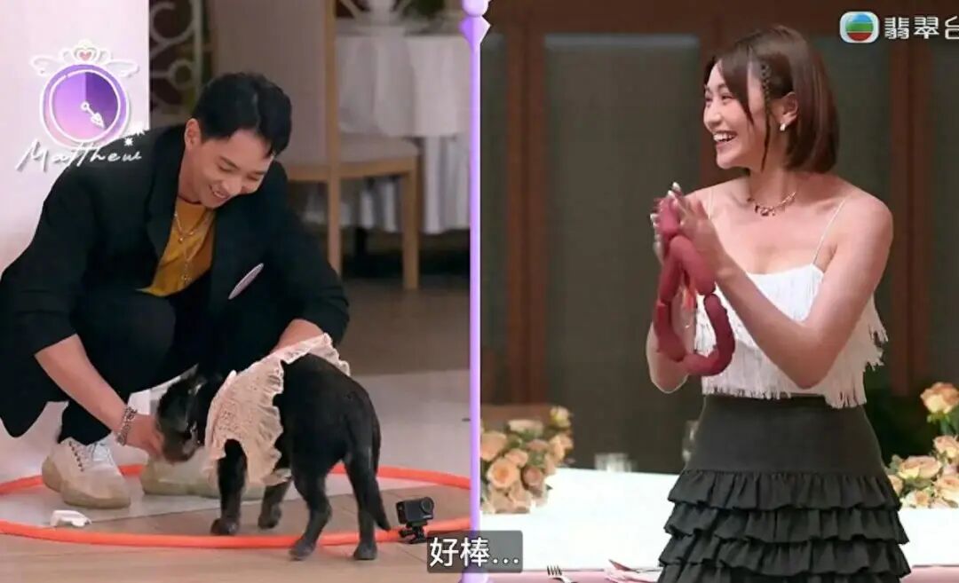 TVB热门恋综新环节被吐槽，被质疑有剧本，口碑急转直下？