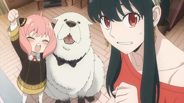 原来《间谍过家家》是这么画出来的？作者的灵魂分镜把网友笑疯了