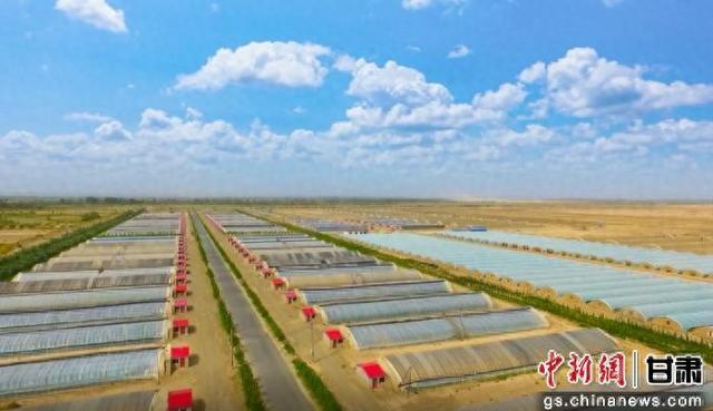图为瓜州县日光温室产业不断发展壮大，种植面积持续扩大。瓜州县委宣传部供图