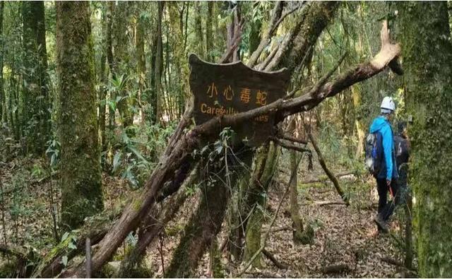 我是“西毒”，专研有毒动物｜赖仞 一席少年第37位讲者