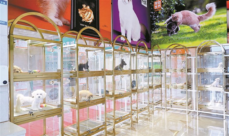 两万平方米“宠物王国”，就在大浪！
