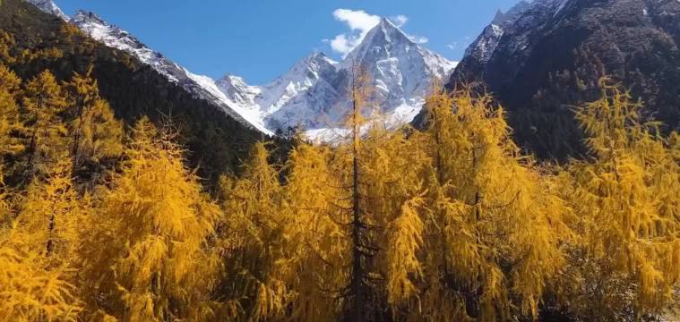 资深玩家分享旅行避坑技巧，轻松享受旅程