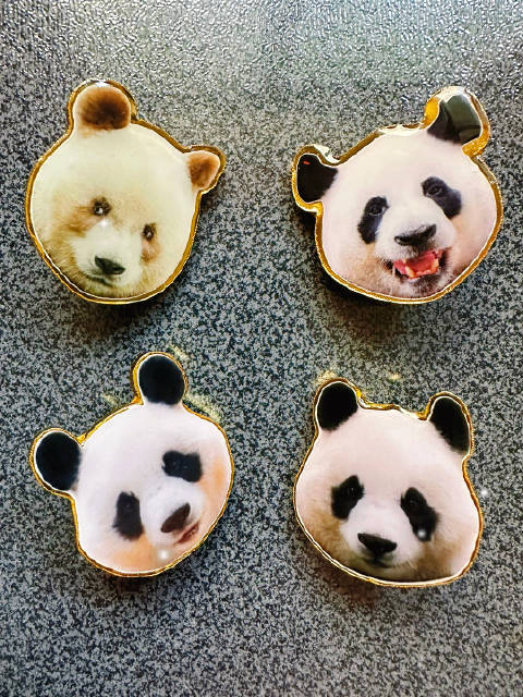 游客获赠大熊猫七仔灵岩白天周边产品