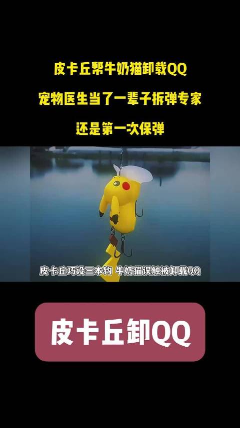皮卡丘鱼钩帮牛奶猫卸载QQ？宠物医生第一次当保弹专家 三本钩