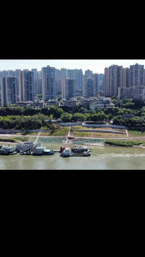 重庆建成三万平流浪猫主题公园，可容纳5000只