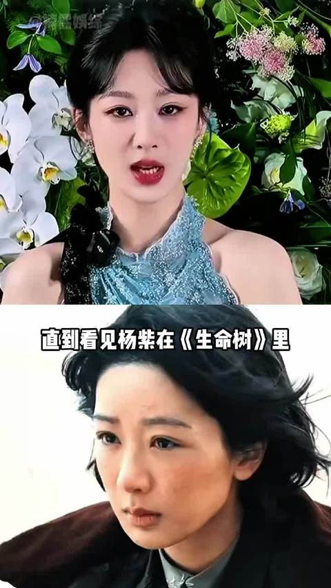 杨紫《生命树》素颜镜头展现妈生脸优势