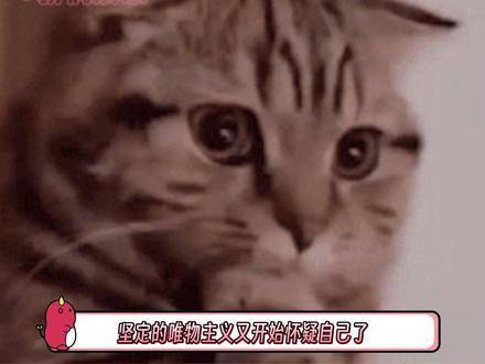 韩庚卢靖姗分享爱情观，单身无需焦虑