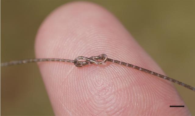 “纤维芯片”打结图