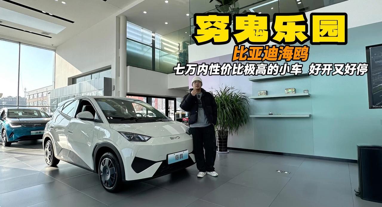 视频：穷鬼乐园十一期 居家省钱该咋选？比亚迪海鸥车小好开还省钱