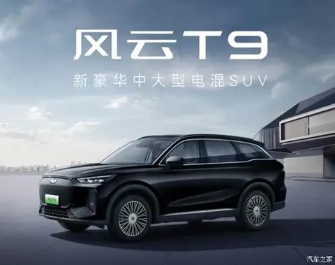 喜提风云T9 的车主反馈