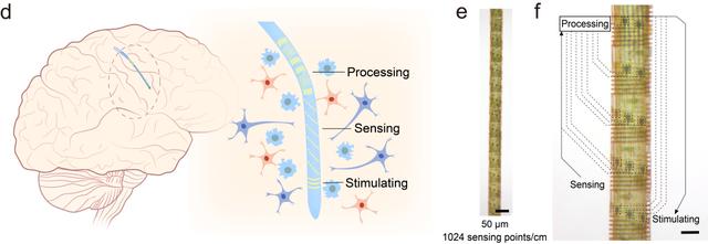 脑机接口应用示意图和实物图