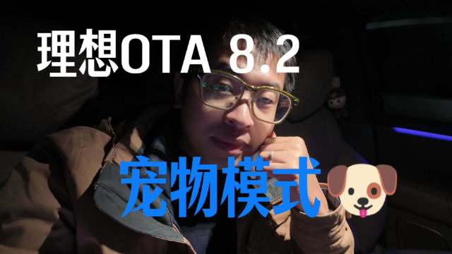 理想OTA8.2宠物模式上线引热议