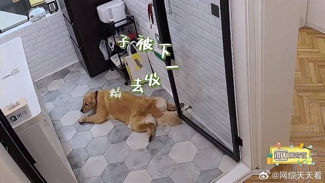 董又霖变天忘收被子，陈学冬：打电话戏精，让狗收！