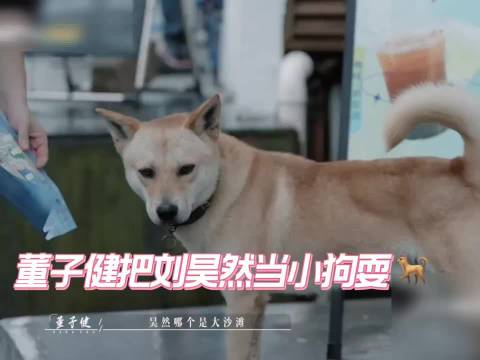 刘昊然幽默回应大黄梗，综艺感拉满显亲和