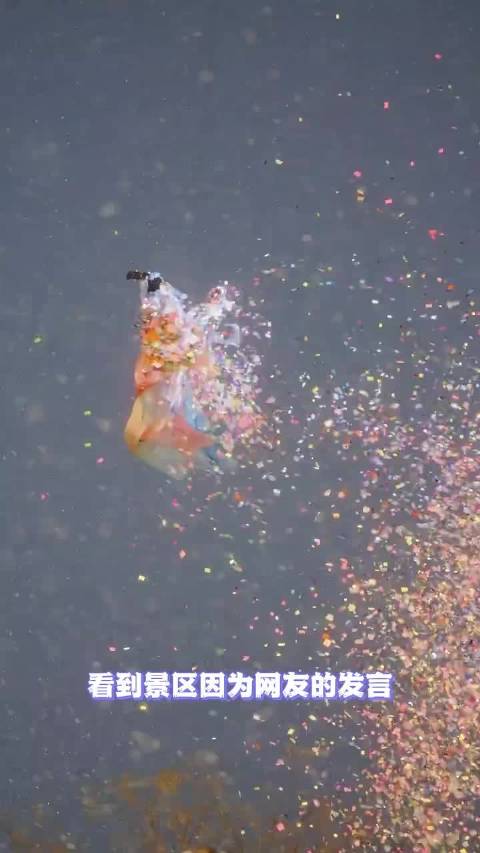 当一个女性向上走，就会有千千万万个女性往上走！加油姐妹们！