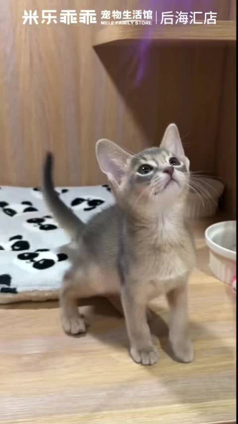 家庭新成员～璐璐