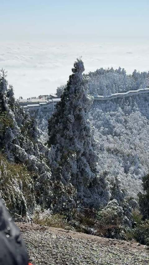不敢相信居然爬上去了，累的我神智不清问我朋友梁朝伟是不是刘嘉玲的老婆