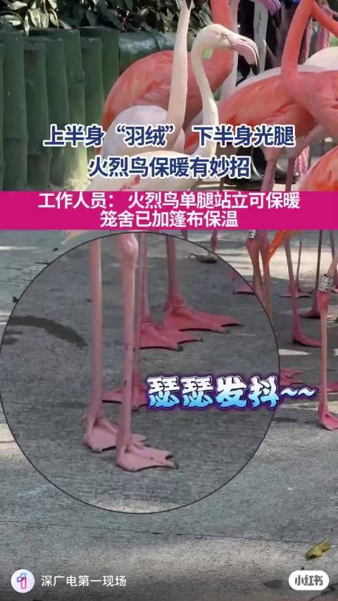 今天魔都很冷，我刷到这个news，好吧我想到了李沛恩 园区会给他棉裤吗？