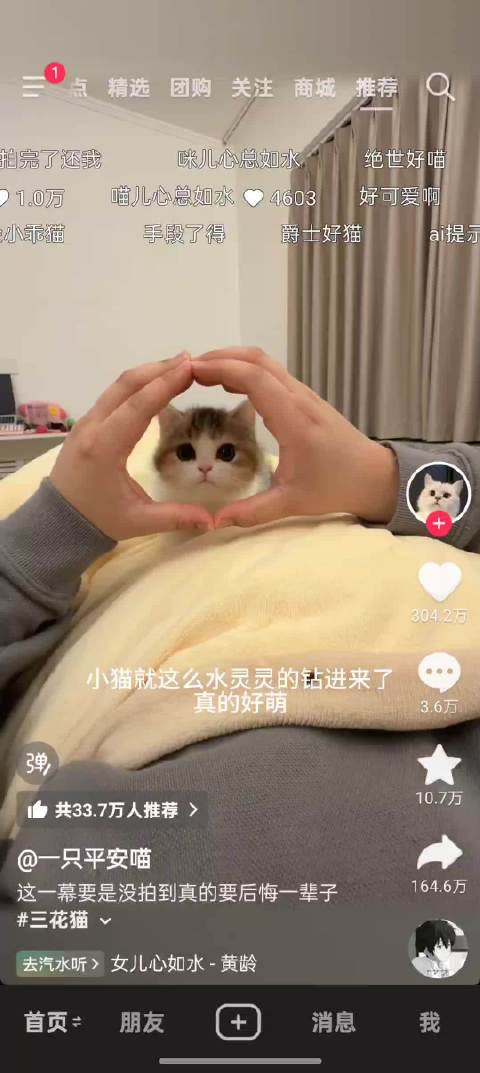 此处需要艾特一个宝宝 我也要看萌物拍这个