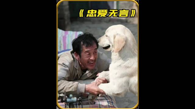 瘫痪老人与拉布拉多十年相依为命