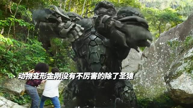 动物变形金刚没有不厉害的！