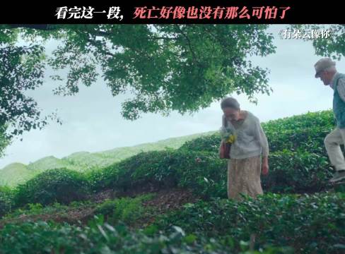 天边飘过一朵云，形状像极了你，原来学会接受死亡，是每个人一生的必修课