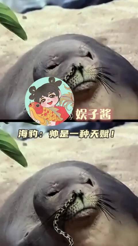 人生枯燥无味，海豹cos人类！