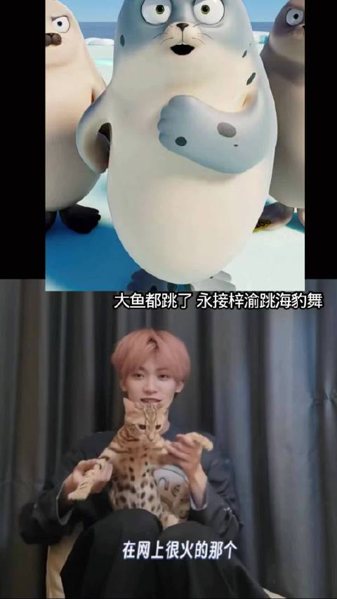 梓渝会跳海豹舞咩 渝制朋友圈 zy 梓渝施洛华眼镜全球代言人