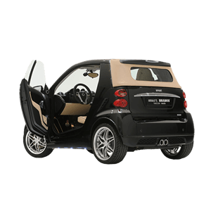 新能源汽车十大品牌排行榜