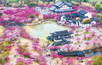 《旅游绿皮书：2024—2025年中国旅游发展分析与预测》发布