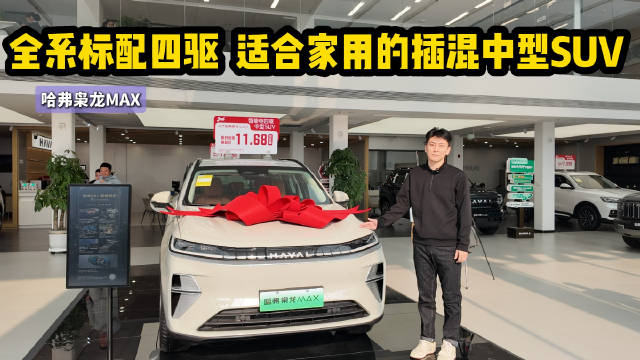 全系标配四驱 适合家用的插混SUV 哈弗枭龙MAX怎么选？