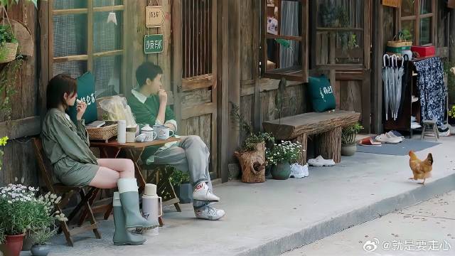 溜达鸡大闹蘑菇屋，吴越万茜上演“赶鸡”大作战！