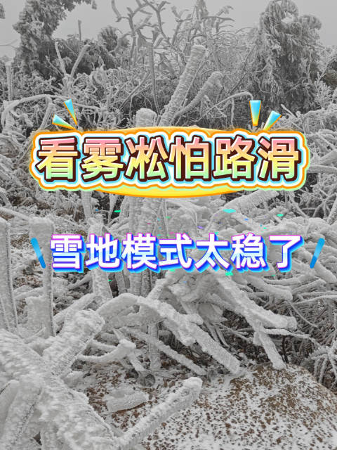 南岳看雾凇开车怕路滑？比亚迪雪地模式太稳了！列宁评车