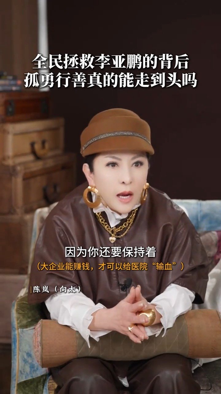 向太说李亚鹏很伟大但是很艰难 “需要有一个大企业来支持”