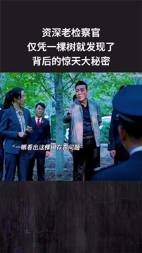 资深老检察官，仅凭一棵树就发现了背后的惊天大秘密