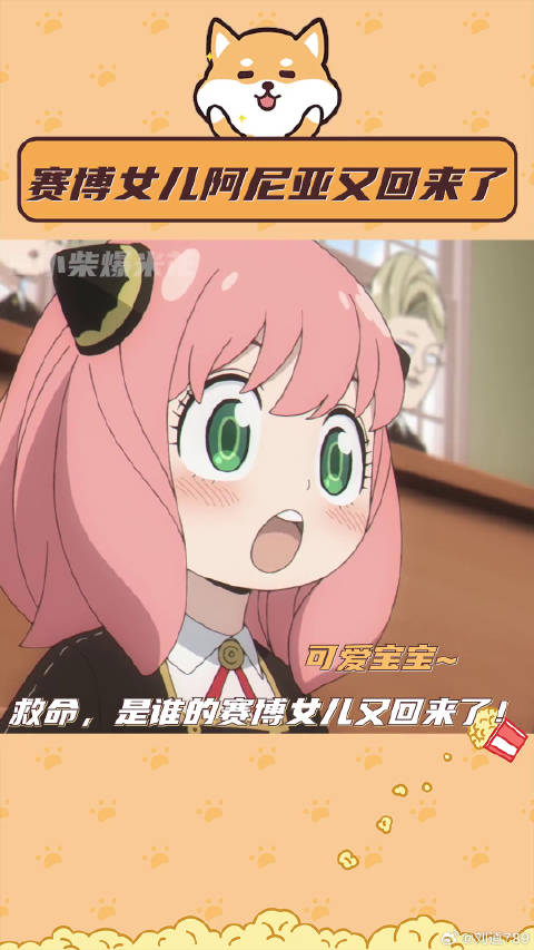 电影间谍过家家 微博VC计划