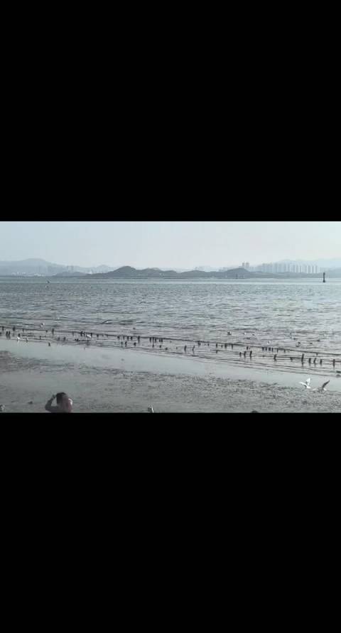 有些鸟儿是注定不会被关在牢笼里的，它们的每一片羽毛都闪耀着自由的光辉