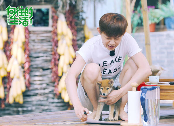 何炅蹭饭史比多多年龄还大《向往的生活》变老友记