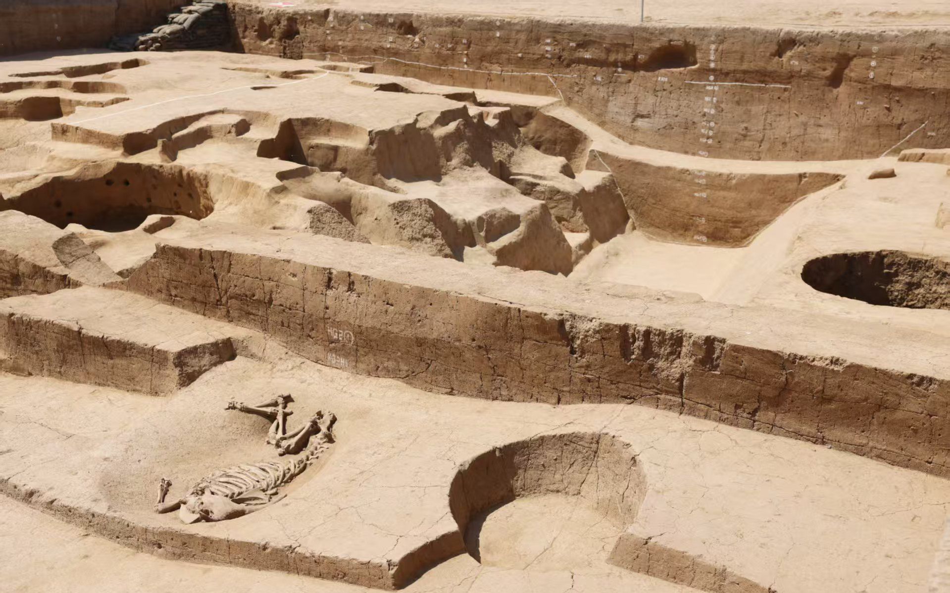 北京房山琉璃河遺址，新發現的外城壕和城牆明確了遺址的雙重城垣結構。資料圖片/新京報記者 浦峰 攝