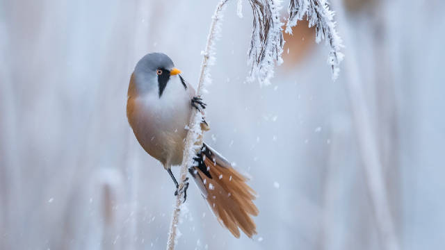 58分钟英文完整版.E04