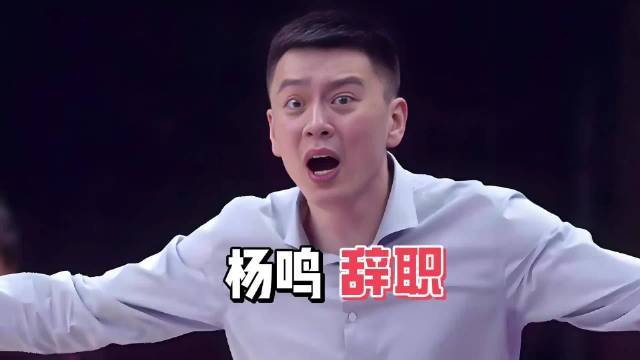 辽宁队回应杨鸣辞职传闻，称未收到辞职信