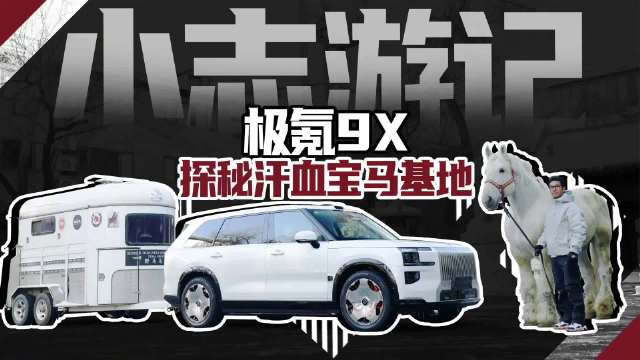 小志驾极氪9X探秘新疆汗血宝马基地